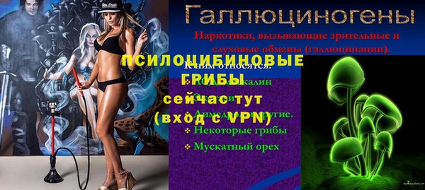 ПСИЛОЦИБИНОВЫЕ ГРИБЫ Алзамай
