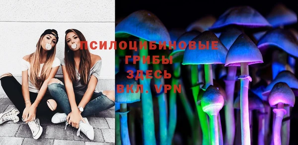 ПСИЛОЦИБИНОВЫЕ ГРИБЫ Алзамай
