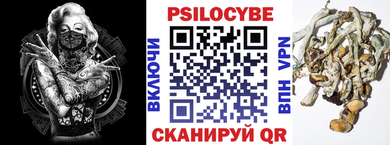 Псилоцибиновые грибы прущие грибы где продают наркотики Билибино